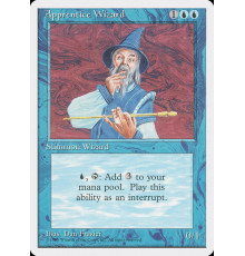 Apprentice Wizard
