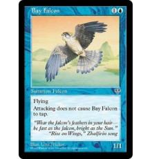 Bay Falcon