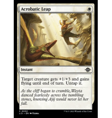 Acrobatic Leap