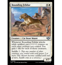 Bounding Felidar