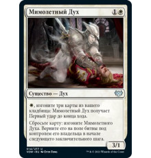 Fleeting Spirit (Мимолетный Дух)