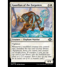 Guardian of the Forgotten