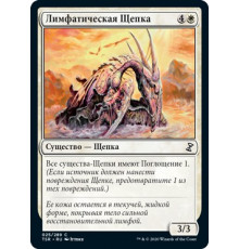 Lymph Sliver (Лимфатическая Щепка)