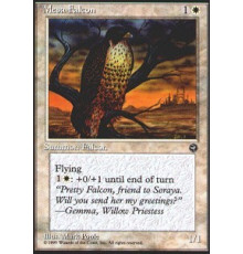 Mesa Falcon