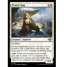 Prairie Dog