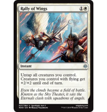 Rally of Wings (Созыв Крылатых)