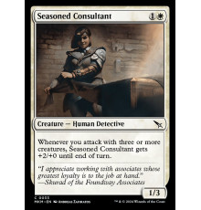 Seasoned Consultant