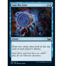 Case the Joint (Разведка Обстановки)