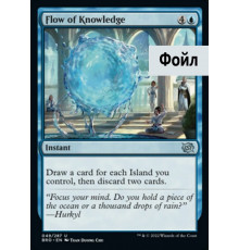 Flow of Knowledge