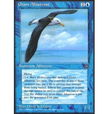 Giant Albatross