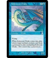Iridescent Drake