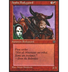 Anaba Bodyguard