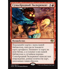 Madcap Experiment (Сумасбродный Эксперимент)