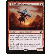 Reckless Stormseeker (Безрассудная Грозоискательница)