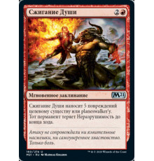 Soul Sear (Сжигание Души)
