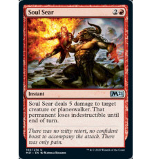 Soul Sear (Сжигание Души)