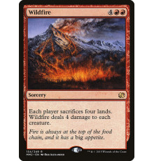Wildfire