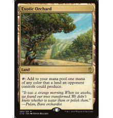 Exotic Orchard (Экзотический Сад)