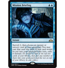 Mission Briefing (Постановка Задачи)