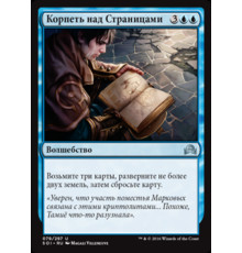 Pore Over the Pages (Корпеть над Страницами)