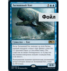 Pursued Whale (Загнанный Кит)