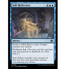 Self-Reflection