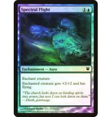 Spectral Flight (Призрачный Полет)