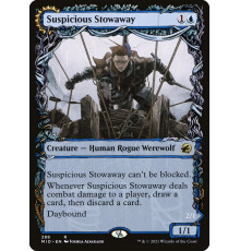 Suspicious Stowaway (Подозрительная Безбилетница)