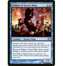 Walker of Secret Ways