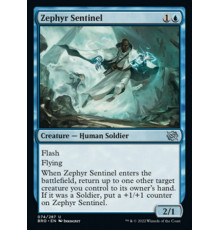 Zephyr Sentinel