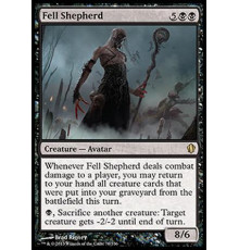 Fell Shepherd
