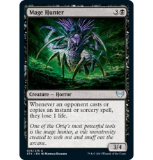 Mage Hunter (Охотник на Магов)