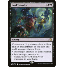 Soul Transfer (Перенос Душ)