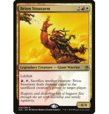 Brion Stoutarm