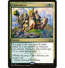 Camaraderie (Товарищество)