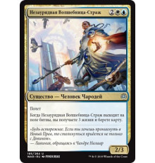 Elite Guardmage (Незаурядная Волшебница-Страж)