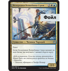 Elite Guardmage (Незаурядная Волшебница-Страж)