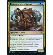 Lullmage's Familiar (Питомец Мага-Баюна)