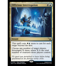 Officious Interrogation