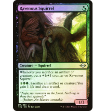 Ravenous Squirrel (Ненасытная Белка)