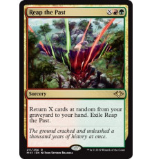 Reap the Past (Жатва Прошлого)