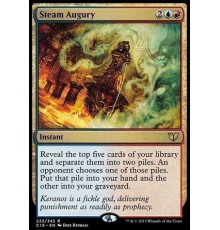 Steam Augury (Гадание по Пару)