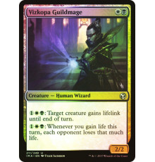 Vizkopa Guildmage (Маг Гильдии из Визкопы)