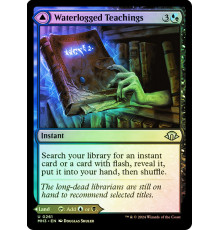 Waterlogged Teachings // Inundated Archive
