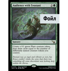 Audience with Trostani