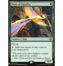 Birds of Paradise (Райские Птицы)
