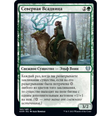 Boreal Outrider (Северная Всадница)
