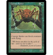 Canopy Spider