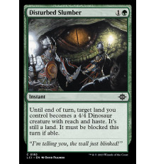 Disturbed Slumber