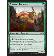 Grappling Sundew (Хваткая Росянка)